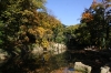 Petřín - rybníček s lachtanem v zahradě Kinských