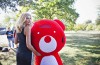 The-teribear-is-the-symbol-for-the-foundations-charity-project.JPG-1440x946