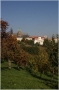 Petřín - Seminářská zahrada